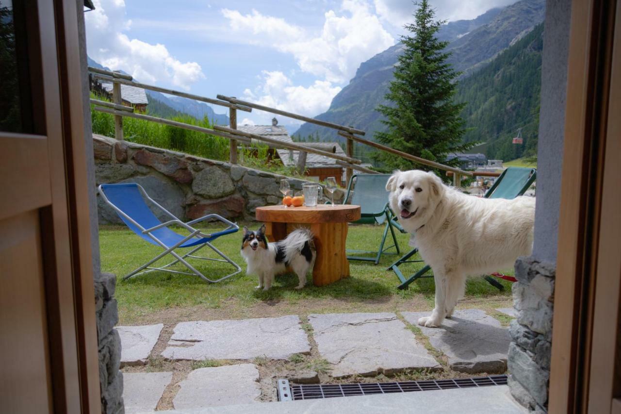 Walsertal Residence Gressoney-La-Trinite Luaran gambar